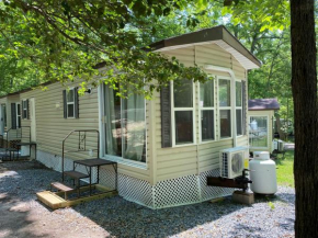 The Vintage RV's at Wilderness Presidential Camp Resort by TripForth